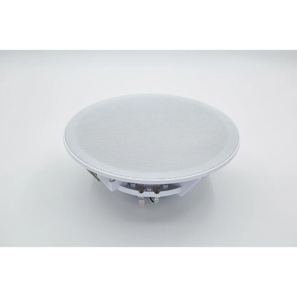 20W Ceiling Speaker Stereo 8 i - Audio Music System For Home บทวิจารณ์และราคา