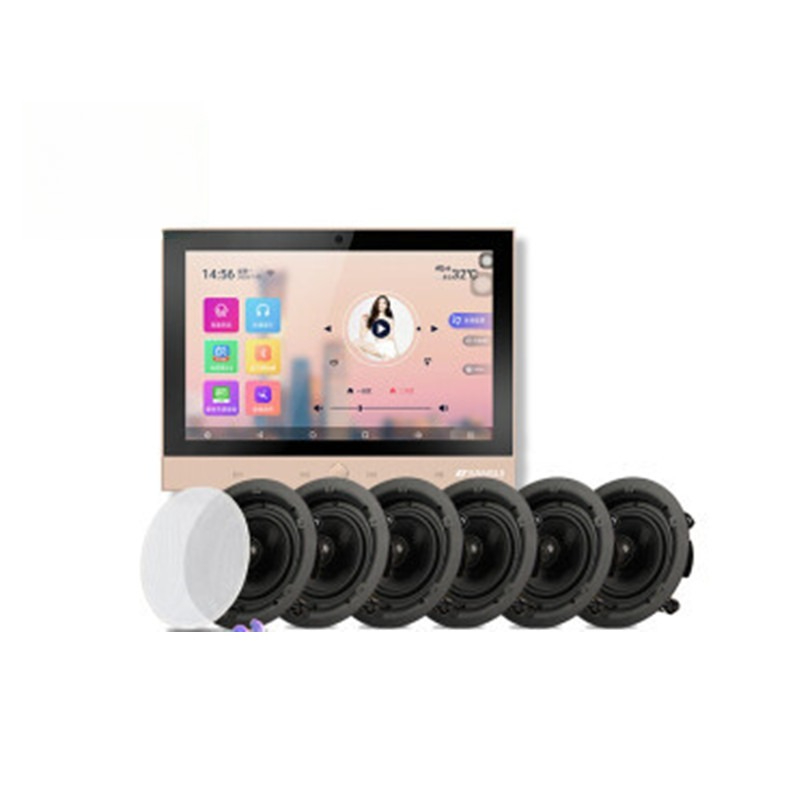 DM-8 + T5-6.5 Home Background  - Audio House Music บทวิจารณ์และราคา
