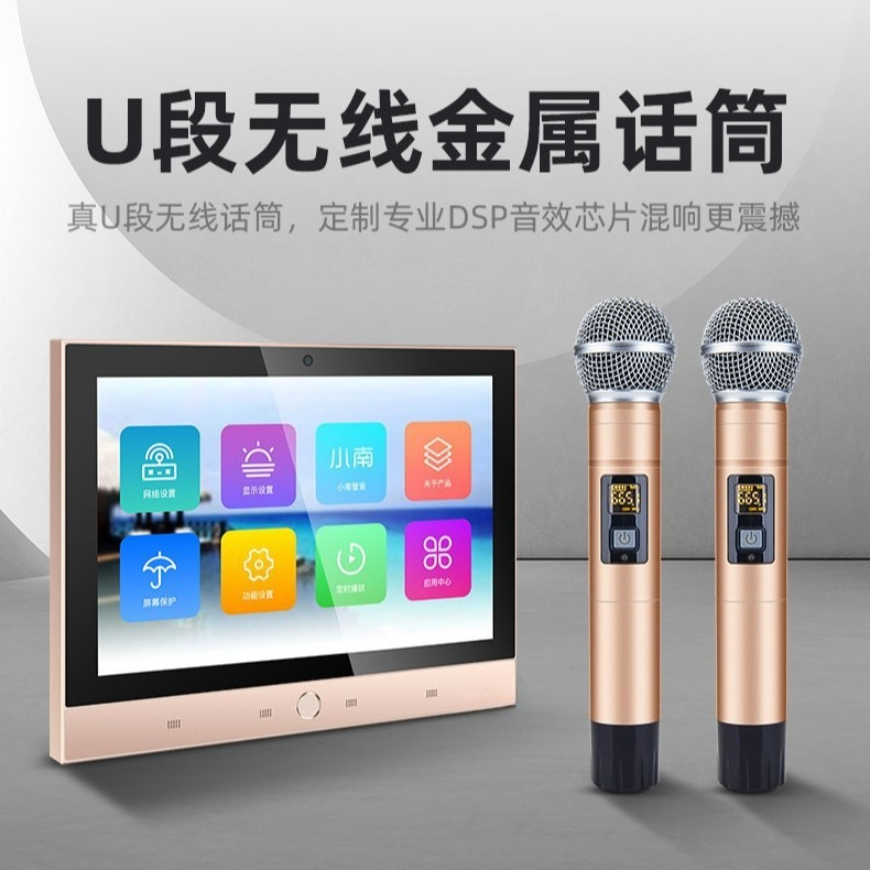 DM-8 + T5-6.5 Home Background  - Audio House Music บทวิจารณ์และราคา