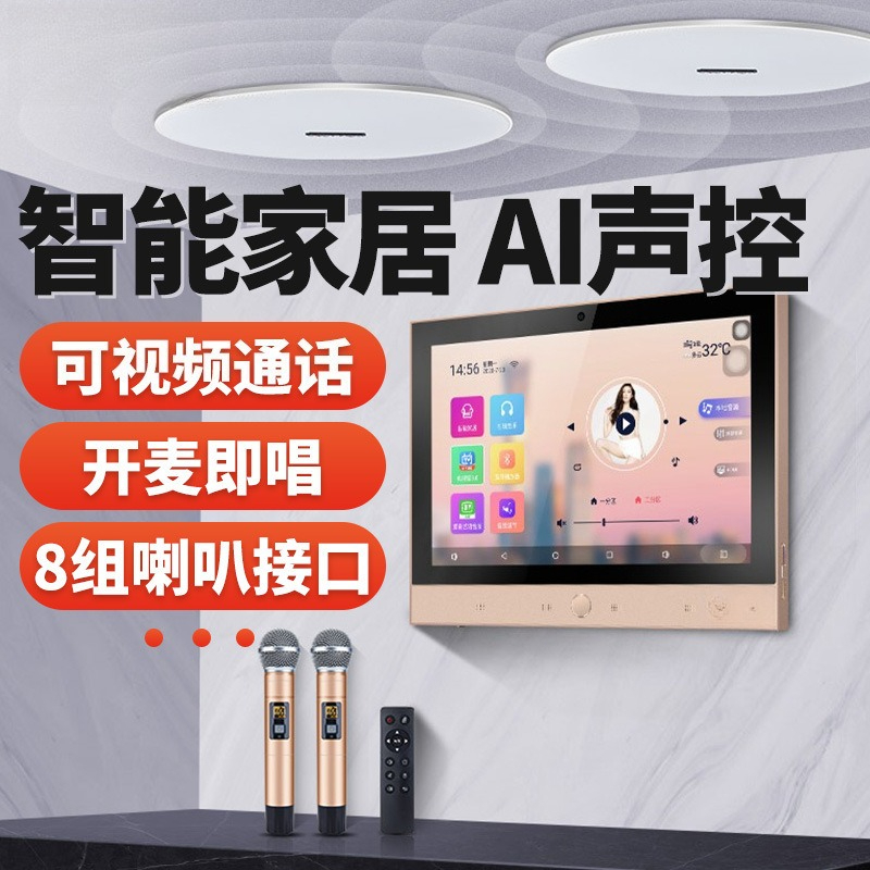 DM-8 + T5-6.5 Home Background  - Audio House Music บทวิจารณ์และราคา